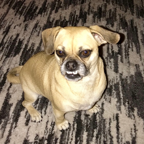 Happy Fall! - Picture 3 of 6